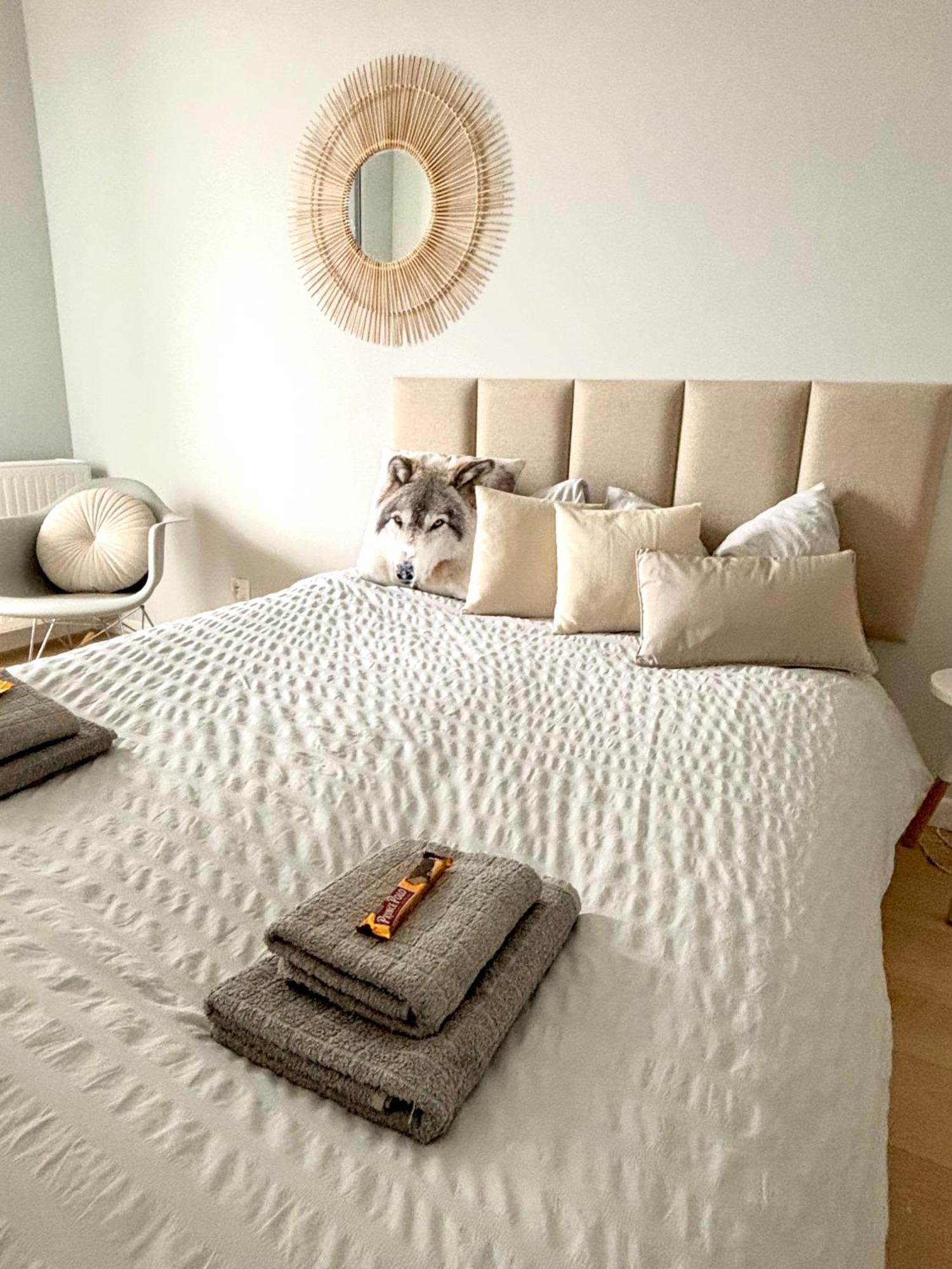 Apartament Gaja سفينويتشي المظهر الخارجي الصورة